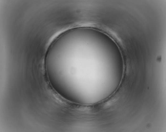 X0000092021174200709201546