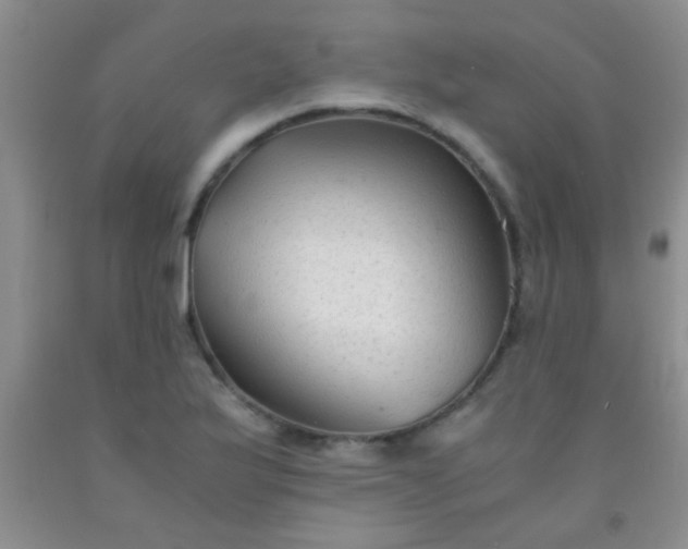 X0000092021175200709201546