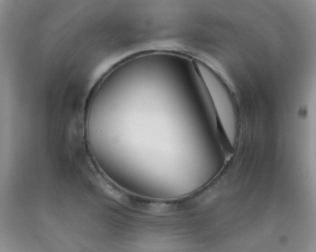 X0000092021176200709201546