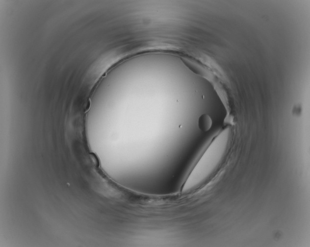 X0000092021177200709201546