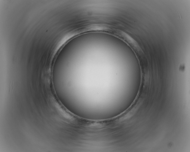 X0000092021178200709201546