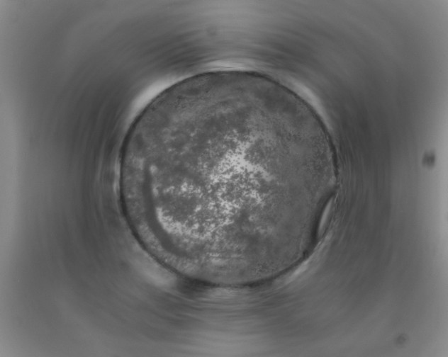 X0000092021179200709201546