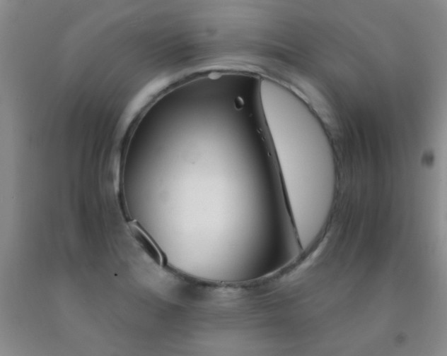 X0000092021180200709201546