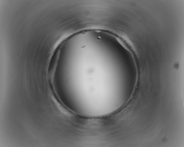 X0000092021181200709201546