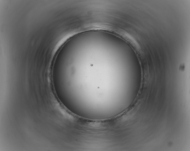 X0000092021182200709201546