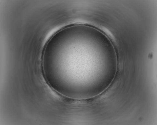 X0000092021183200709201545