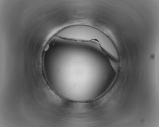 X0000092021184200709201545