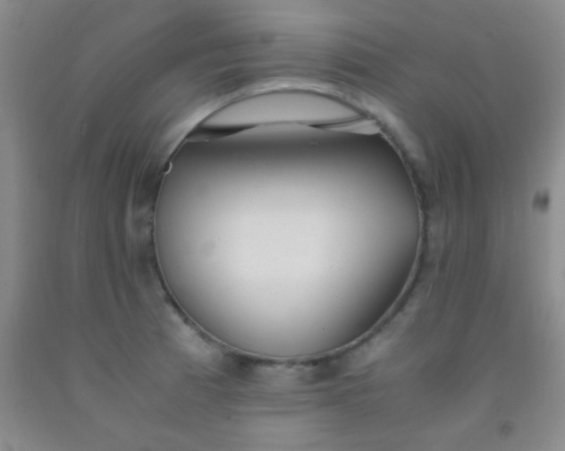 X0000092021185200709201545