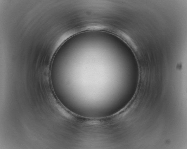 X0000092021186200709201545