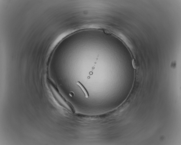 X0000092021187200709201545