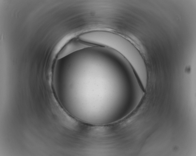 X0000092021188200709201545