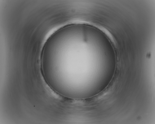 X0000092021191200709201545