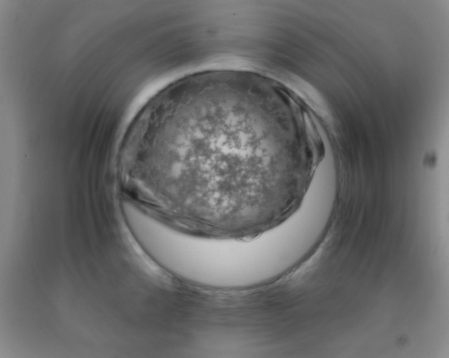 X0000092021192200709201545