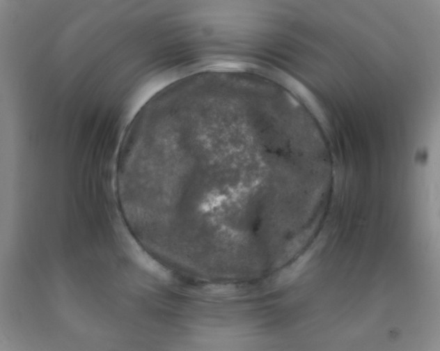 X0000092021194200709201545