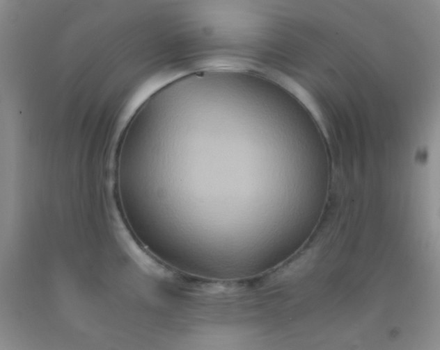 X0000092021195200709201545