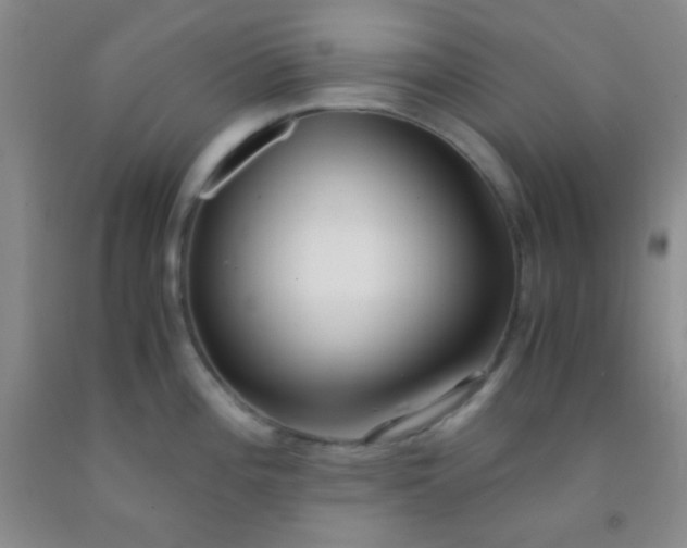 X0000092021196200709201545