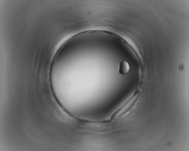 X0000092021197200709201545