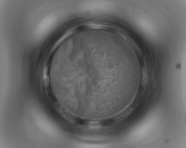 X0000092021198200709201545