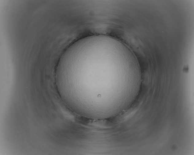 X0000092021201200709201545