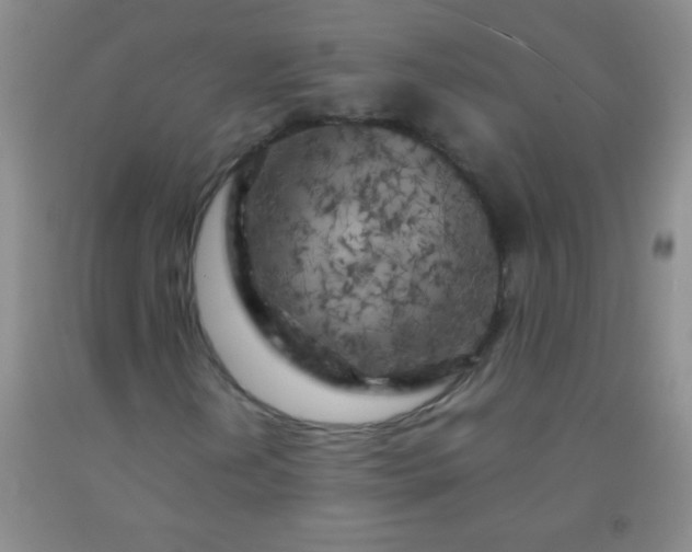 X0000092021202200709201545