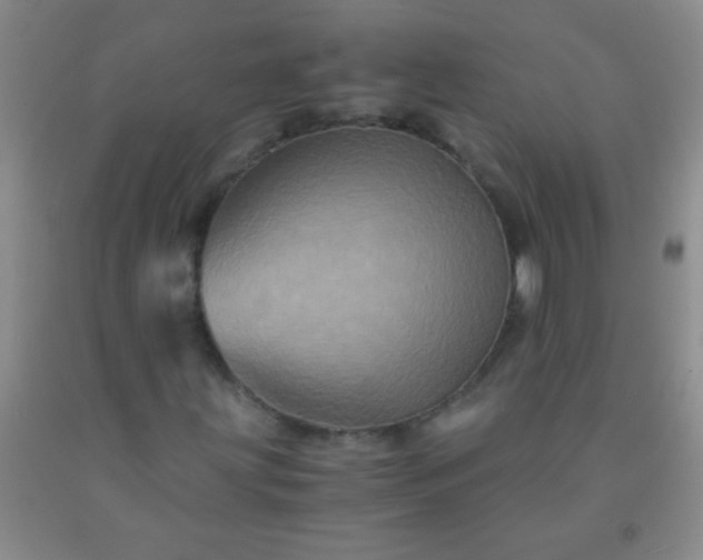 X0000092021203200709201545