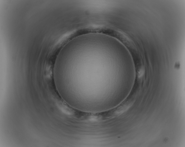 X0000092021204200709201545