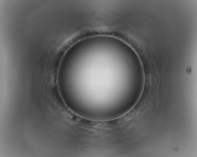 X0000092021205200709201545