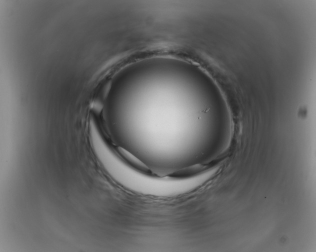 X0000092021206200709201545