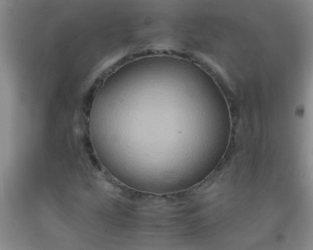 X0000092021207200709201545