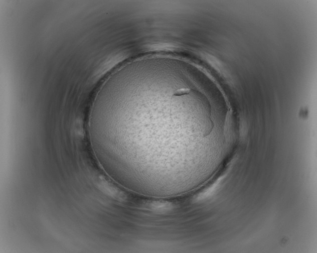 X0000092021209200709201545