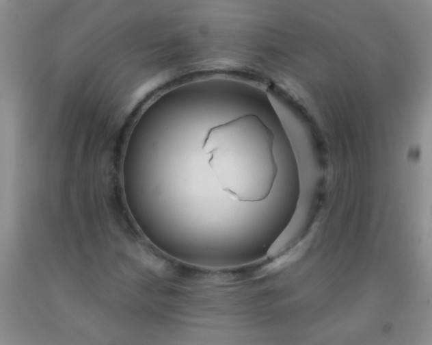 X0000092021210200709201545