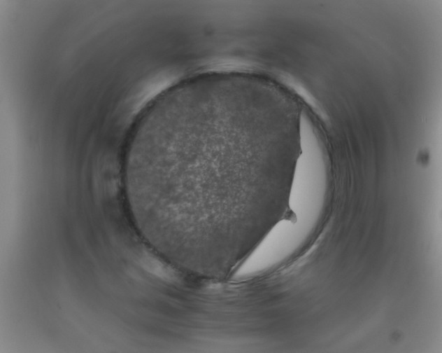 X0000092021213200709201545