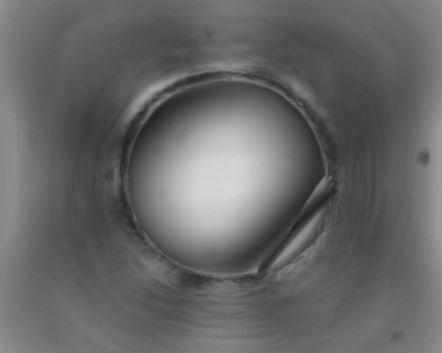 X0000092021214200709201545