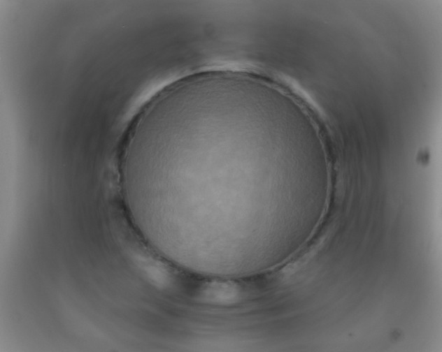 X0000092021215200709201545