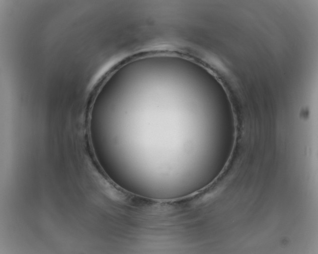 X0000092021216200709201545