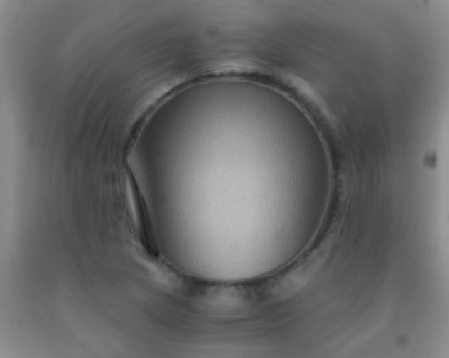 X0000092021217200709201545