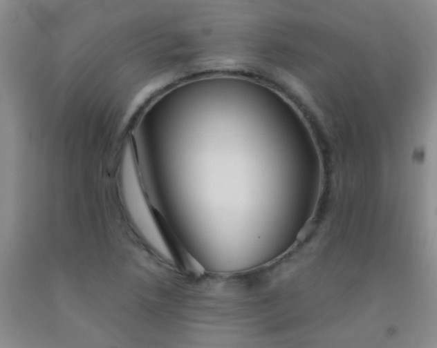 X0000092021218200709201545