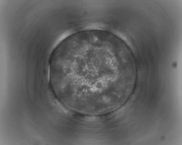 X0000092021219200709201545