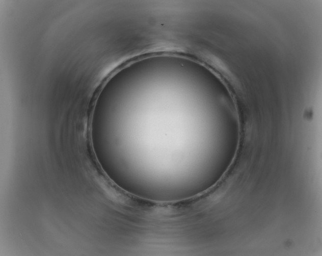 X0000092021220200709201545