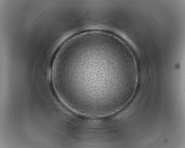 X0000092021221200709201545