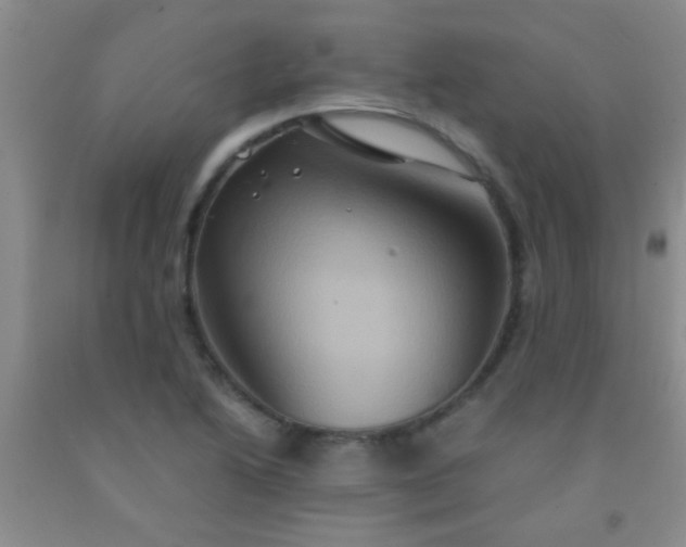 X0000092021222200709201545