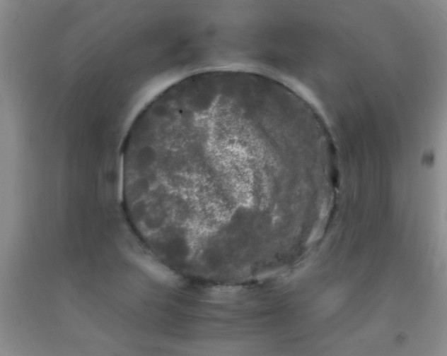 X0000092021223200709201545