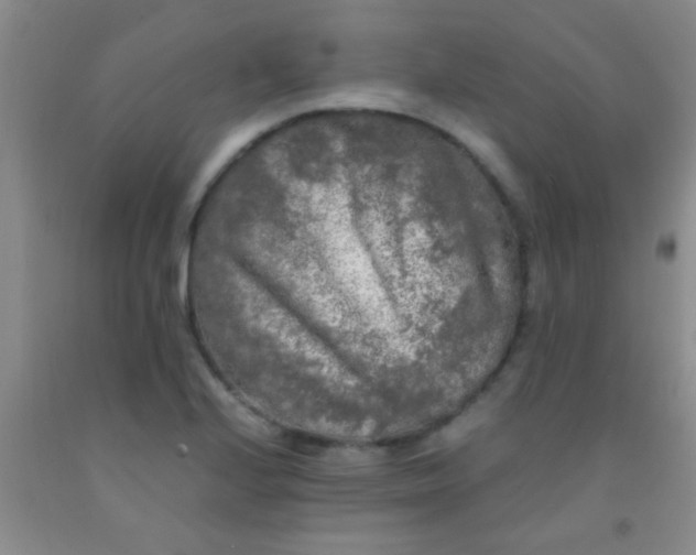 X0000092021224200709201545