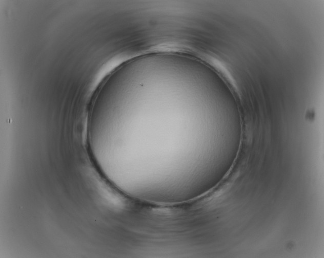 X0000092021227200709201545