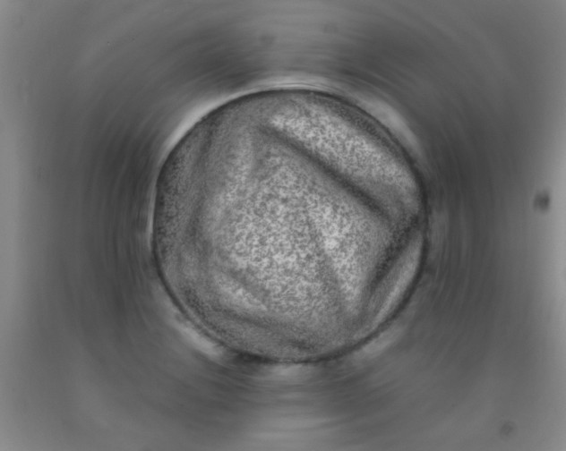 X0000092021228200709201545