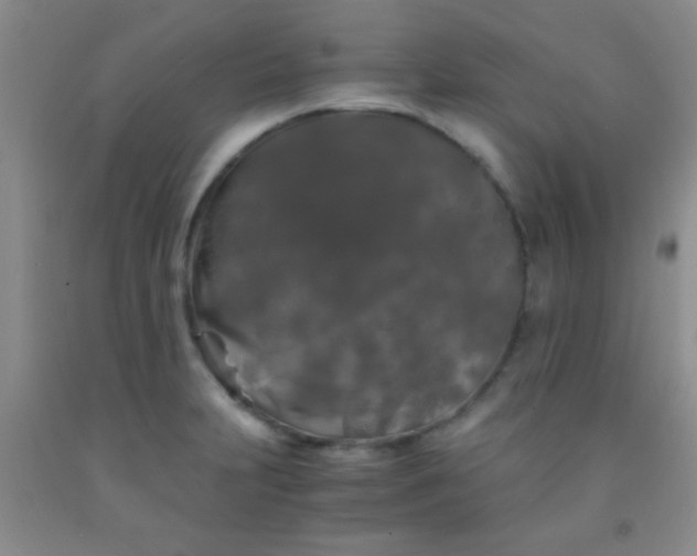 X0000092021231200709201545