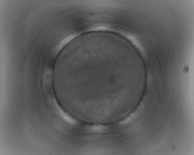 X0000092021233200709201545