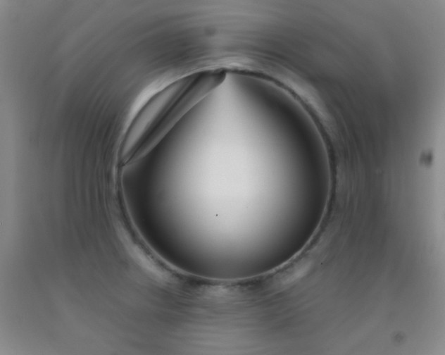 X0000092021234200709201545