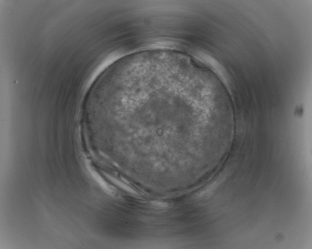 X0000092021235200709201545