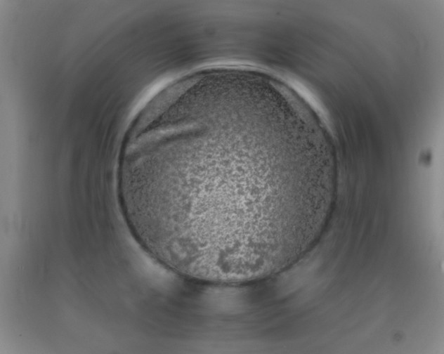 X0000092021237200709201545